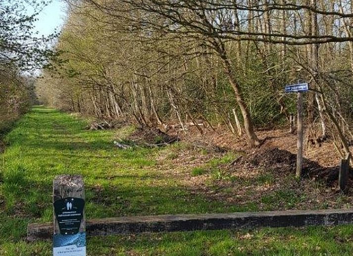 Unterkunft 204114 - Ferienhaus Zuidwest Drenthe - Huisje in Hollandscheveld
