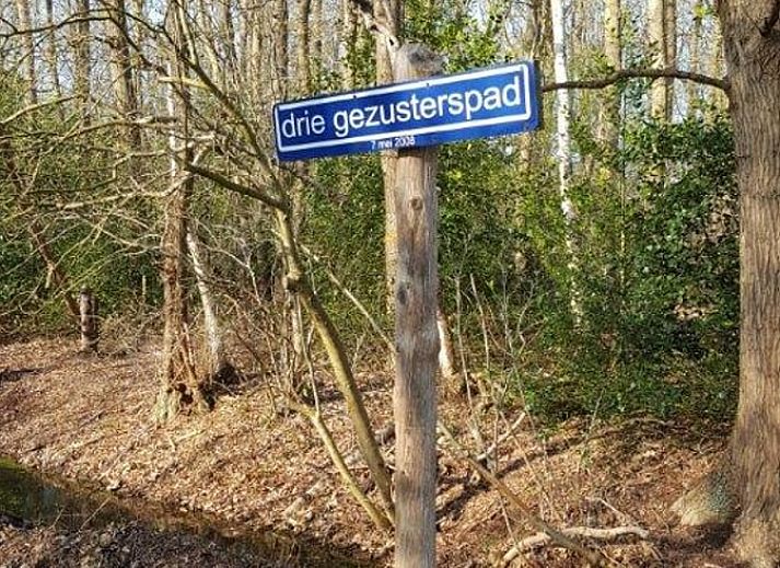 Unterkunft 204114 - Ferienhaus Zuidwest Drenthe - Huisje in Hollandscheveld