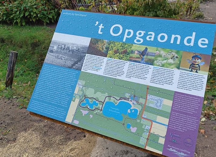 Entree met bloemen naar Vakantiehuisje in Hollandscheveld, gelegen in Zuidwest Drenthe, Drenthe.