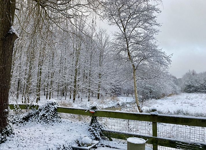 Verblijf 204116 - Vakantiewoning Zuidwest Drenthe - DG2162