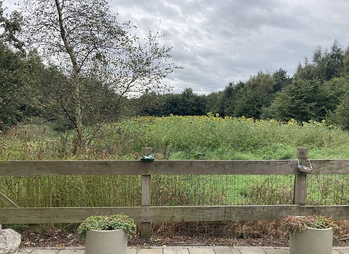 Verblijf 204116 - Vakantiewoning Zuidwest Drenthe - DG2162