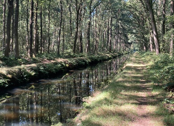 Verblijf 204116 - Vakantiewoning Zuidwest Drenthe - DG2162