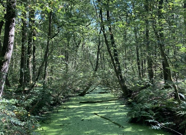 Verblijf 204116 - Vakantiewoning Zuidwest Drenthe - DG2162