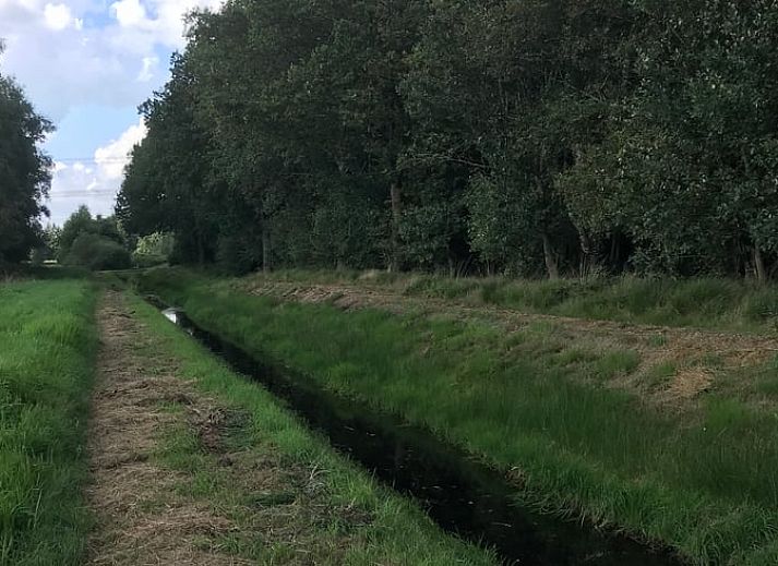 Stimmungsvolles Schlafzimmer im Ferienhaus in Nieuwlande, Suedwest-Drenthe, mit Blumendekor.