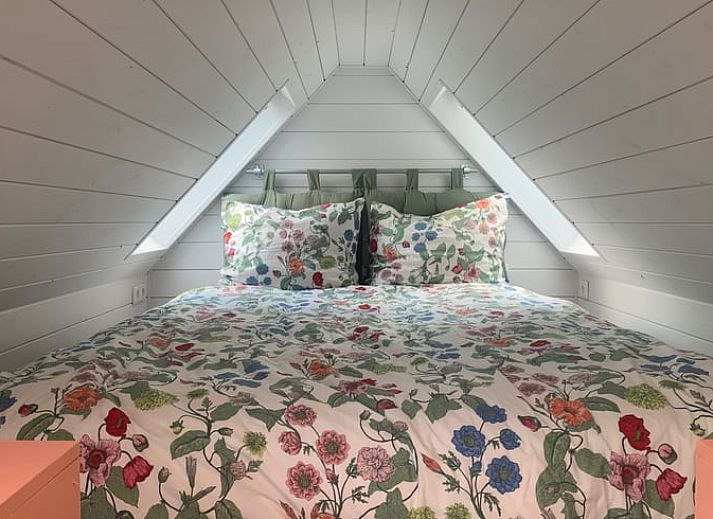 Unterkunft 204803 - Ferienhaus Zuidwest Drenthe - Vakantiehuisje in Nieuwlande