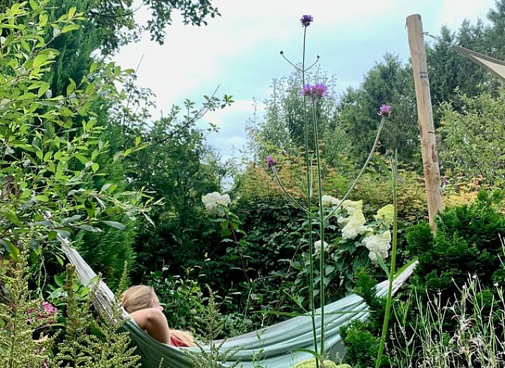 Unterkunft 204803 - Ferienhaus Zuidwest Drenthe - Vakantiehuisje in Nieuwlande