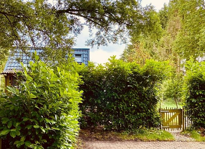 Unterkunft 204803 - Ferienhaus Zuidwest Drenthe - Vakantiehuisje in Nieuwlande