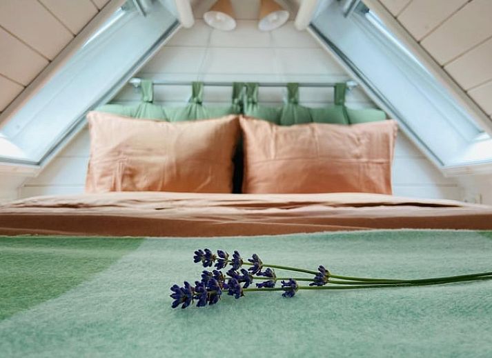 Unterkunft 204803 - Ferienhaus Zuidwest Drenthe - Vakantiehuisje in Nieuwlande