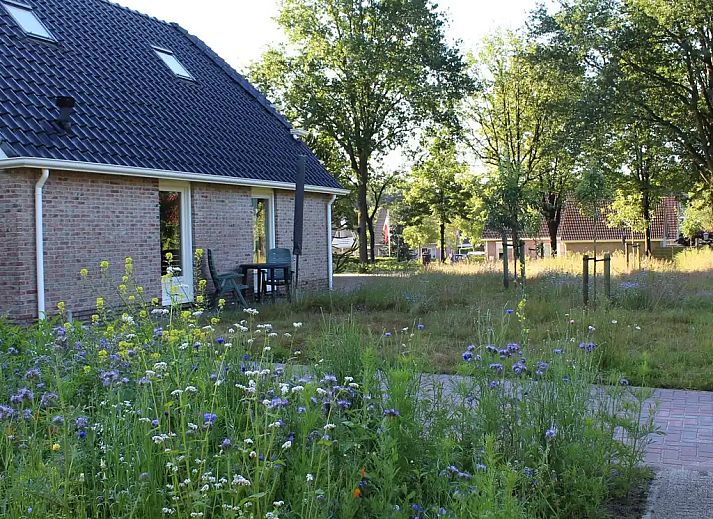 Verblijf 204901 - Appartement Zuidwest Drenthe - Vakantiehuis Darp