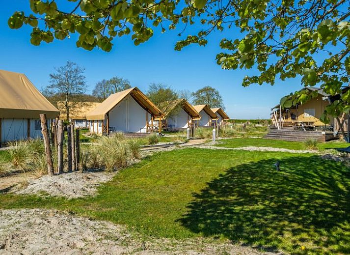 Guest house 2101121 - Holiday property Oostelijk Flevoland - Vakantiehuis Eco Villa 12