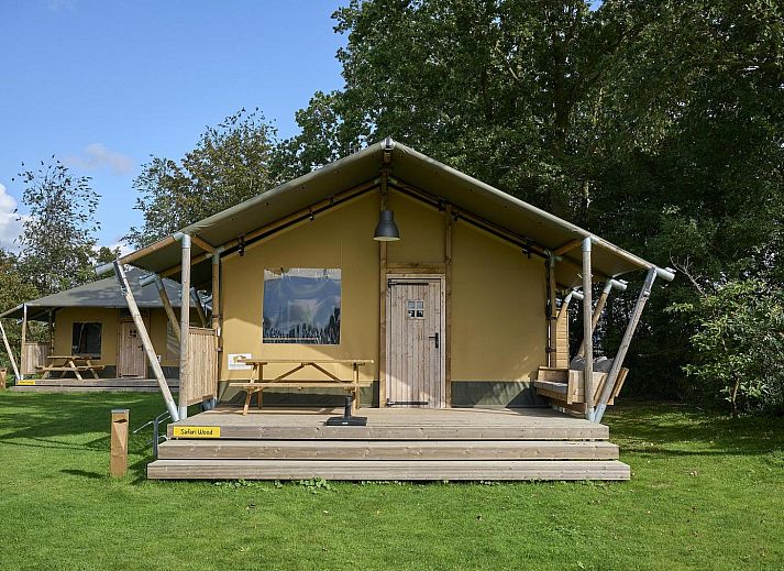 Safari tent Wood in Biddinghuizen with spacious veranda and green surroundings, ideal for 4-6 people in Flevoland.