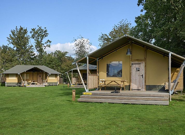 Safari tent Wood in Biddinghuizen with spacious veranda and green surroundings, ideal for 4-6 people in Flevoland.