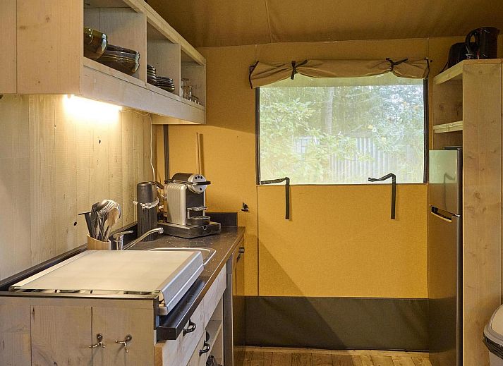 Cozy glamping lodges at Safaritent Wood in Biddinghuizen, surrounded by nature in Eastern Flevoland.