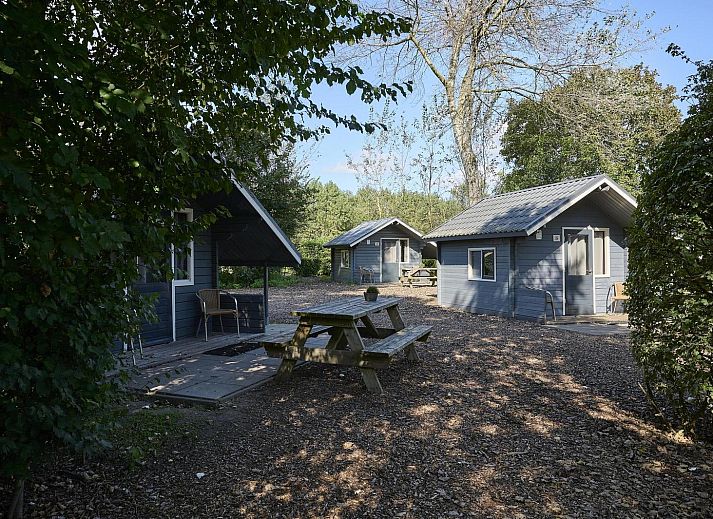 Trekkershut 4 Personen in Biddinghuizen, Flevoland met ruime veranda omgeven door natuur.