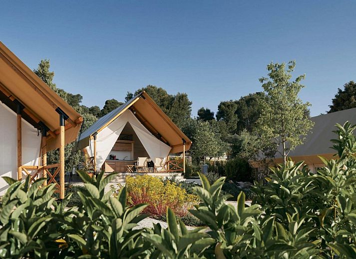 Guest house 2101183 • Tent house Oostelijk Flevoland • Glampingtent Luxe 6 