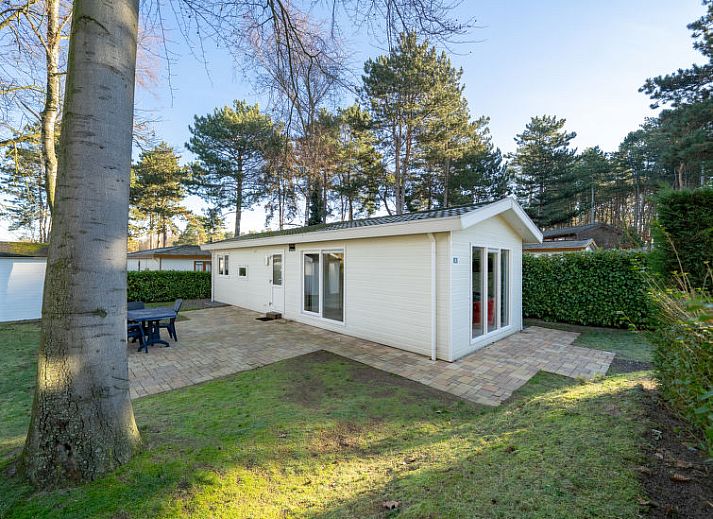Guest house 2101198 • Holiday property Oostelijk Flevoland • Vakantiehuis Berkel 6