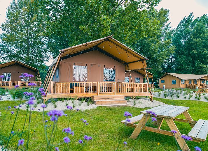 Guest house 2101202 - Tent house Oostelijk Flevoland - Lodgetent Haven 4