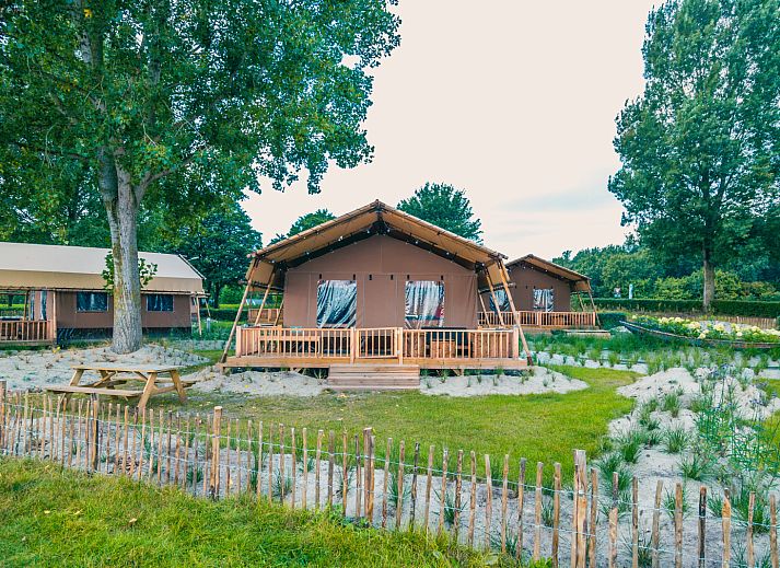 Guest house 2101202 - Tent house Oostelijk Flevoland - Lodgetent Haven 4