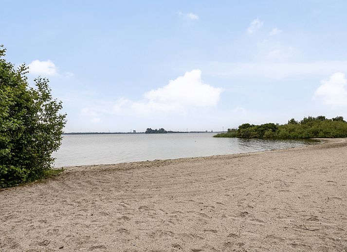 Guest house 2101206 - Holiday property Oostelijk Flevoland - Geschakelde woning in Biddinghuizen