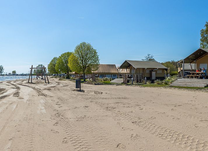 Guest house 210145 - Tent house Oostelijk Flevoland - Lodgetent 4