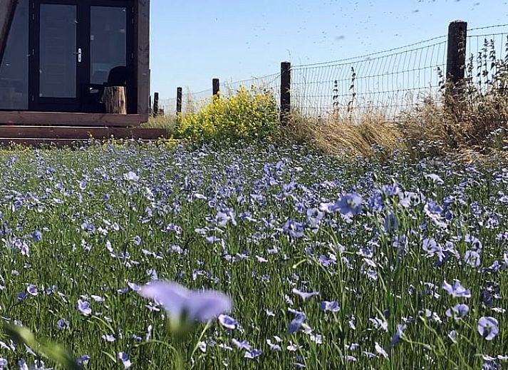 Huisje in Kraggenburg, een modern vakantiehuis in het groene landschap van Oostelijk Flevoland, Flevoland.