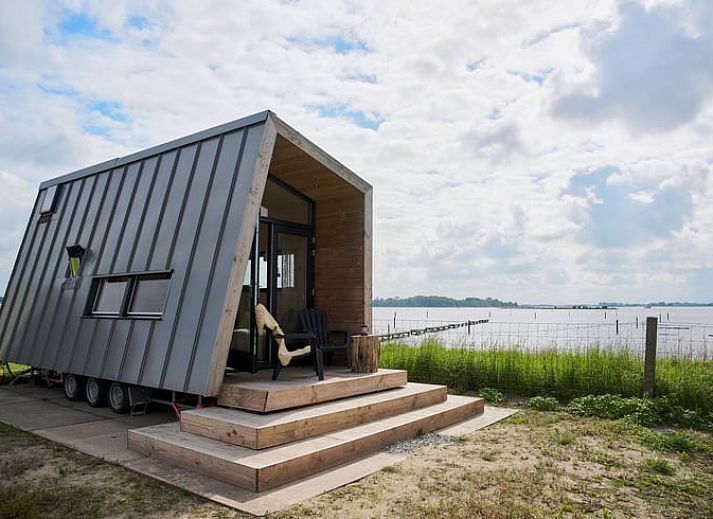 Bloemenweide voor Huisje in Kraggenburg, vakantiehuis in de natuur van Oostelijk Flevoland, Flevoland.