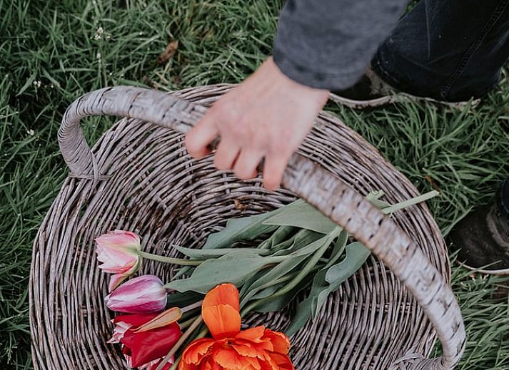 Geniessen Sie die Ruhe und den Frieden im Ferienhaus in Kraggenburg, das im gruenen Ost-Flevoland liegt, mit herrlichem Blick auf die Natur.