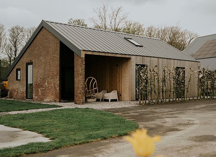 Geniessen Sie die laendliche Aussicht von der Veranda des Ferienhauses in Kraggenburg, das im gruenen Flevoland liegt.