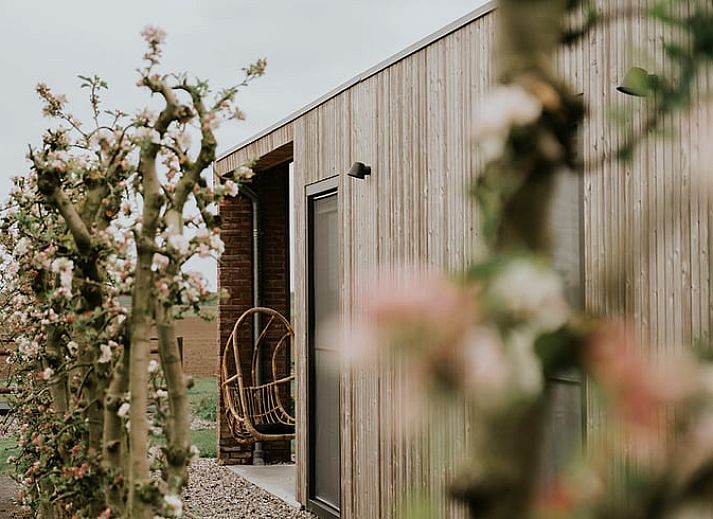 Geniessen Sie die laendliche Aussicht von der Veranda des Ferienhauses in Kraggenburg, das im gruenen Flevoland liegt.