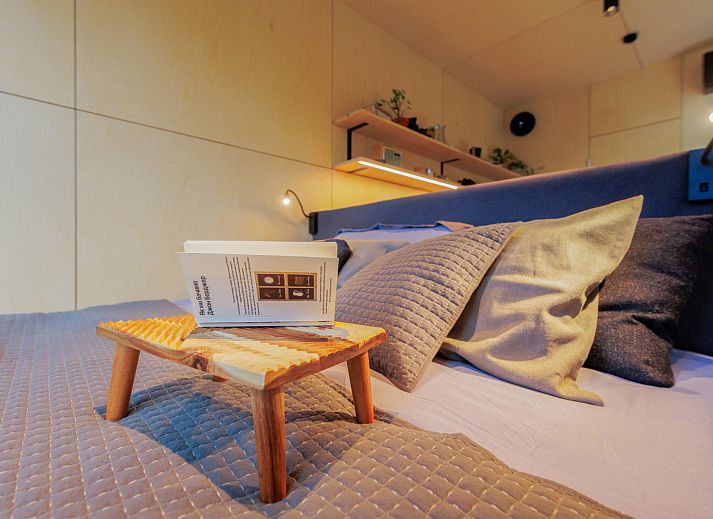 Guest house 210631 - Holiday property Oostelijk Flevoland - Tiny house met spiegelgevel