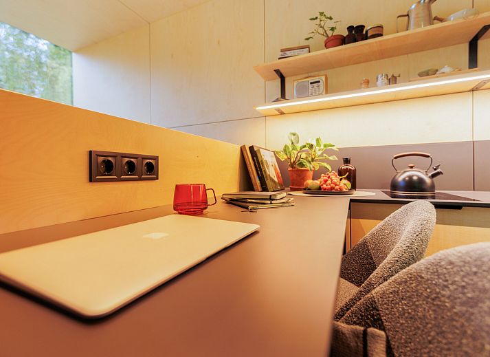 Guest house 210631 - Holiday property Oostelijk Flevoland - Tiny house met spiegelgevel