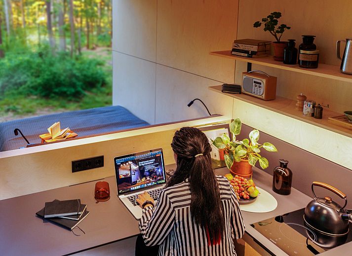 Guest house 210631 - Holiday property Oostelijk Flevoland - Tiny house met spiegelgevel