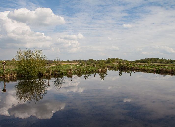 Guest house 210637 - Holiday property Oostelijk Flevoland - Chalet lodge