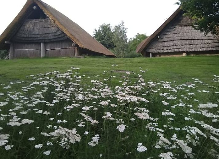 Reetdachhaus in Lelystad, ein Ferienhaus in Ost-Flevoland, Flevoland, umgeben von Natur.
