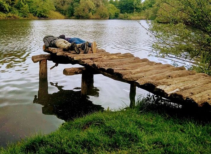 Luftaufnahme des Hauses in Lelystad, einer Ferienunterkunft in Ost-Flevoland, mit Blick auf einen ruhigen Teich.