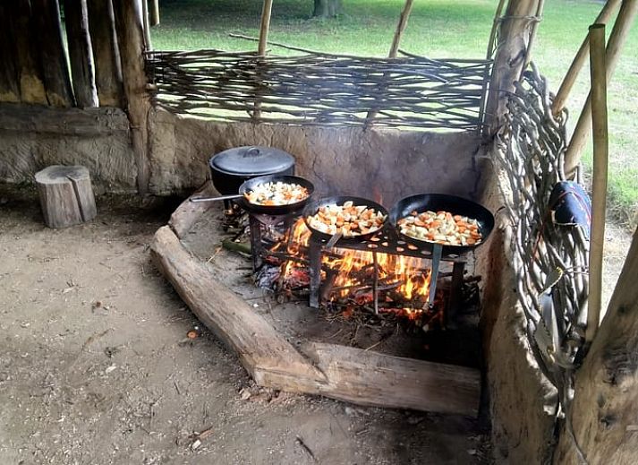 Luftaufnahme des Hauses in Lelystad, einer Ferienunterkunft in Ost-Flevoland, mit Blick auf einen ruhigen Teich.