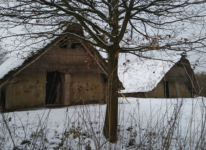 Flower Meadow at Cottage in Lelystad, ein Ferienhaus in Ost-Flevoland, umgeben von gruener Natur.