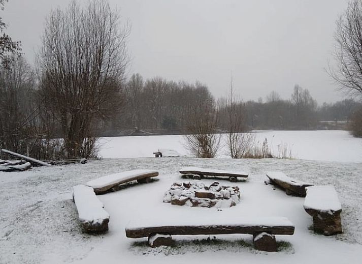 Flower Meadow at Cottage in Lelystad, ein Ferienhaus in Ost-Flevoland, umgeben von gruener Natur.