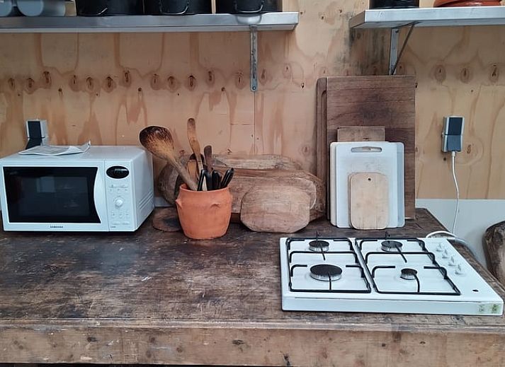 Flower Meadow at Cottage in Lelystad, ein Ferienhaus in Ost-Flevoland, umgeben von gruener Natur.