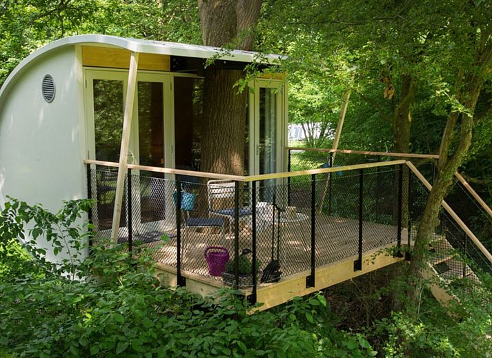 Guest house 210719 - Holiday property Oostelijk Flevoland - Boomhut «Suite»