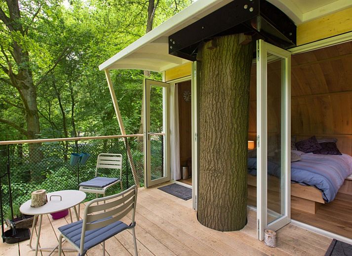 Guest house 210719 - Holiday property Oostelijk Flevoland - Boomhut «Suite»