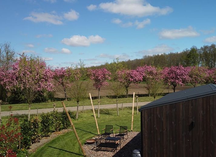 Enjoy the sun on the terrace of Holiday Home in Emmeloord, Eastern Flevoland, Flevoland.