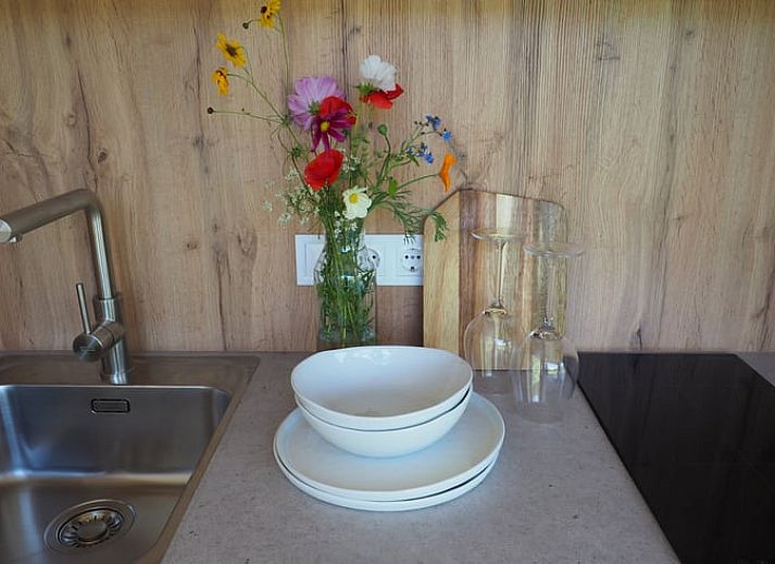 Beautiful view of flowering trees at Holiday Home in Emmeloord, Eastern Flevoland, Flevoland.