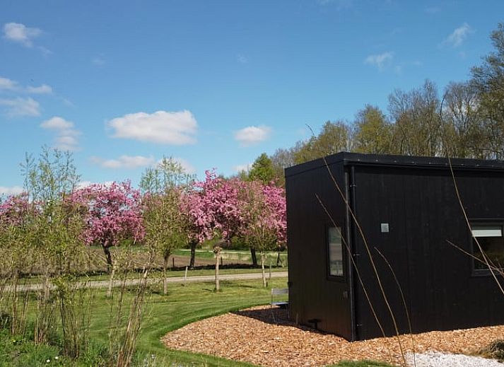 Verblijf 211302 - Vakantiewoning Oostelijk Flevoland - Vakantiehuis in Emmeloord