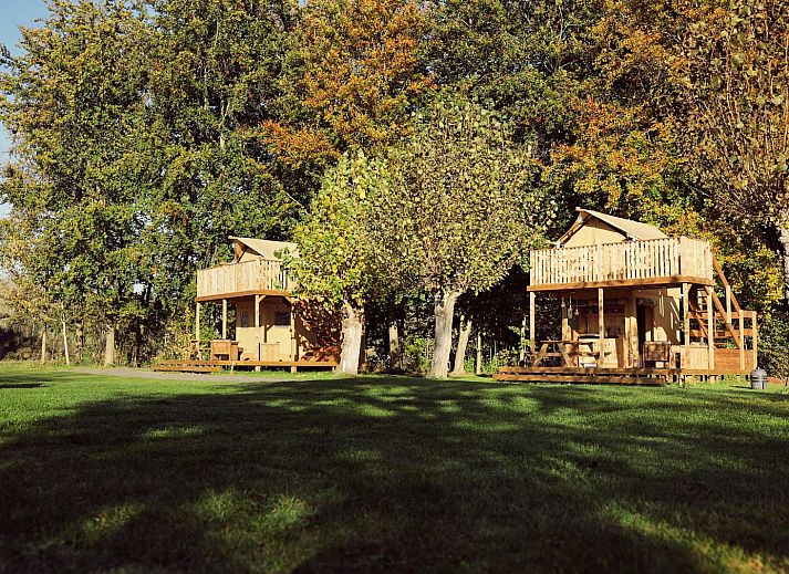 Unterkunft 2202120 - Zelthaus Zuidelijk Flevoland - Glamping tent Arriba