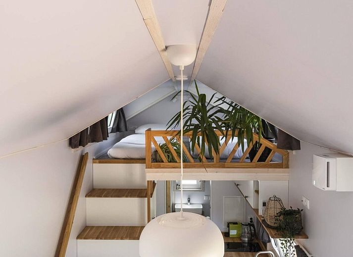 Verblijf 2202156 - Vakantiewoning Zuidelijk Flevoland - Vakantiehuis De Glamping - Gele Tiny House | 5p