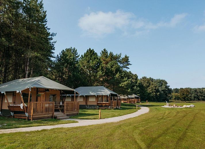 Verblijf 2202162 - Vakantiewoning Zuidelijk Flevoland - Vakantiehuis De Glamping - Tiny Safari Geel | 7p