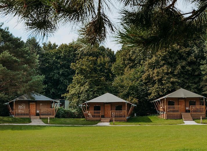Verblijf 2202170 - Vakantiewoning Zuidelijk Flevoland - Vakantiehuis De Glamping - Trio Lodge | 18p