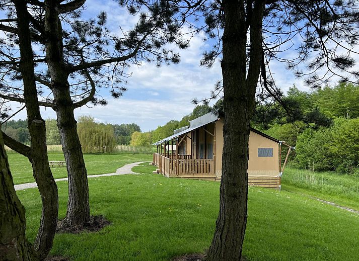 Verblijf 2202172 - Vakantiewoning Zuidelijk Flevoland - Vakantiehuis De Glamping - Sunny Lodge | 6p