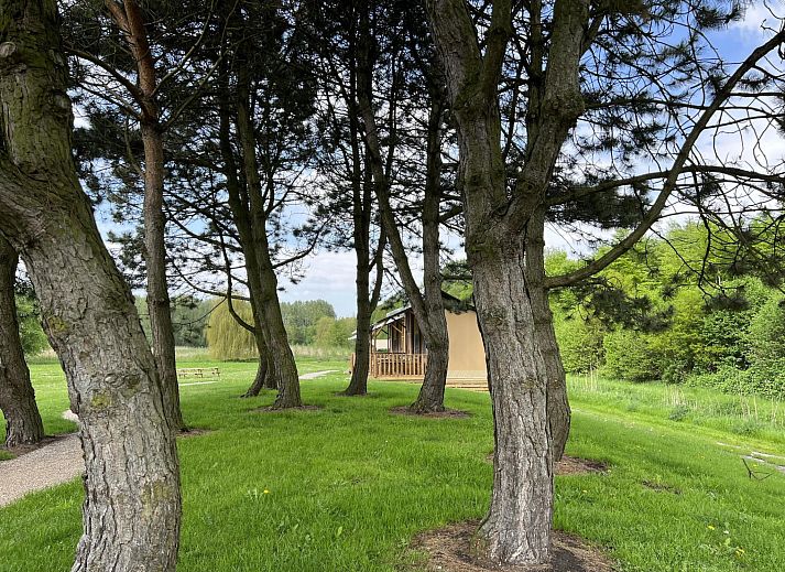 Verblijf 2202172 - Vakantiewoning Zuidelijk Flevoland - Vakantiehuis De Glamping - Sunny Lodge | 6p